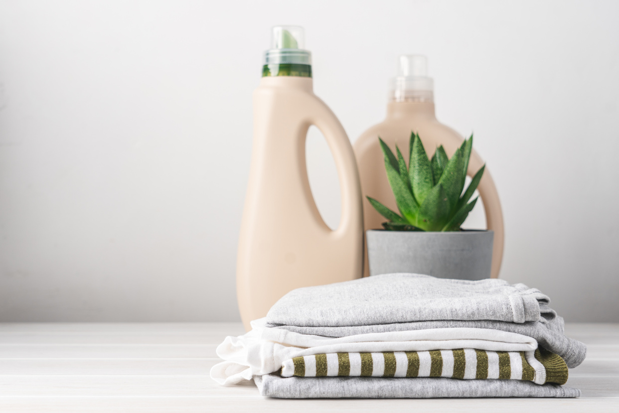 Clean clothes and eco-friendly bottled laundry detergents. Homemade green succulent plant